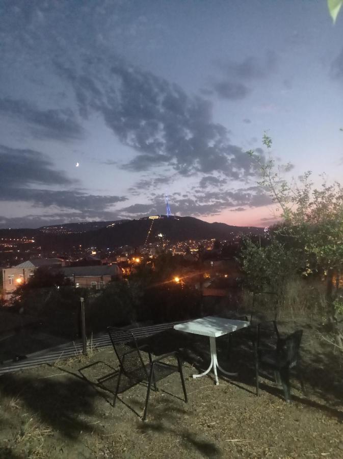 Panorama Of Tbilisi Exterior foto
